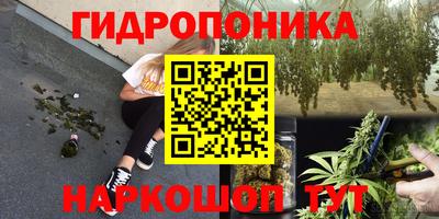 бошки Дубна