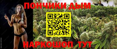 бошки Дубна