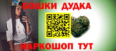 бошки Дубна