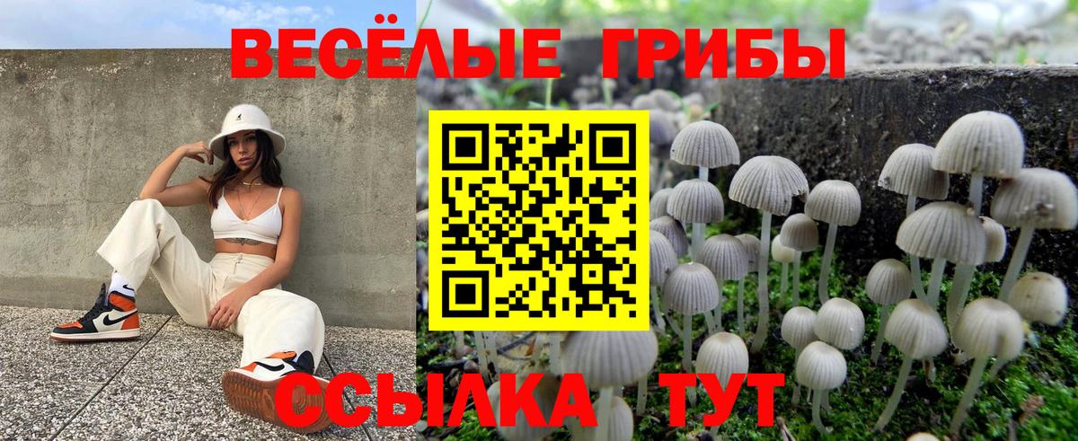 Псилоцибиновые грибы прущие грибы Назарово