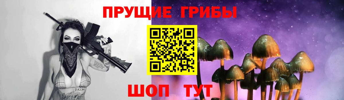 дарнет шоп  Вход с VPN  Назарово  Галлюциногенные грибы прущие грибы 